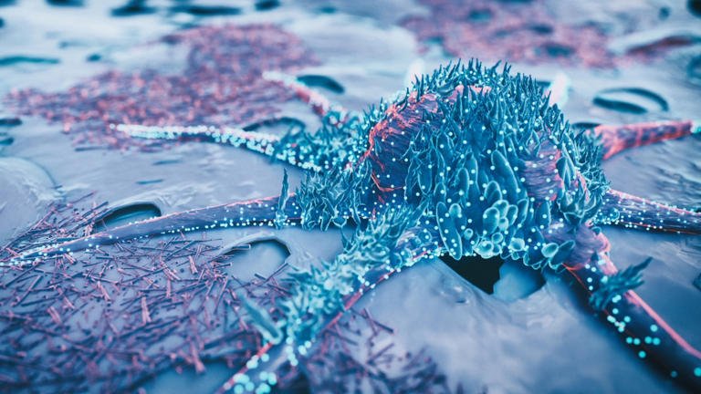 Undo Button for Cancer Cells